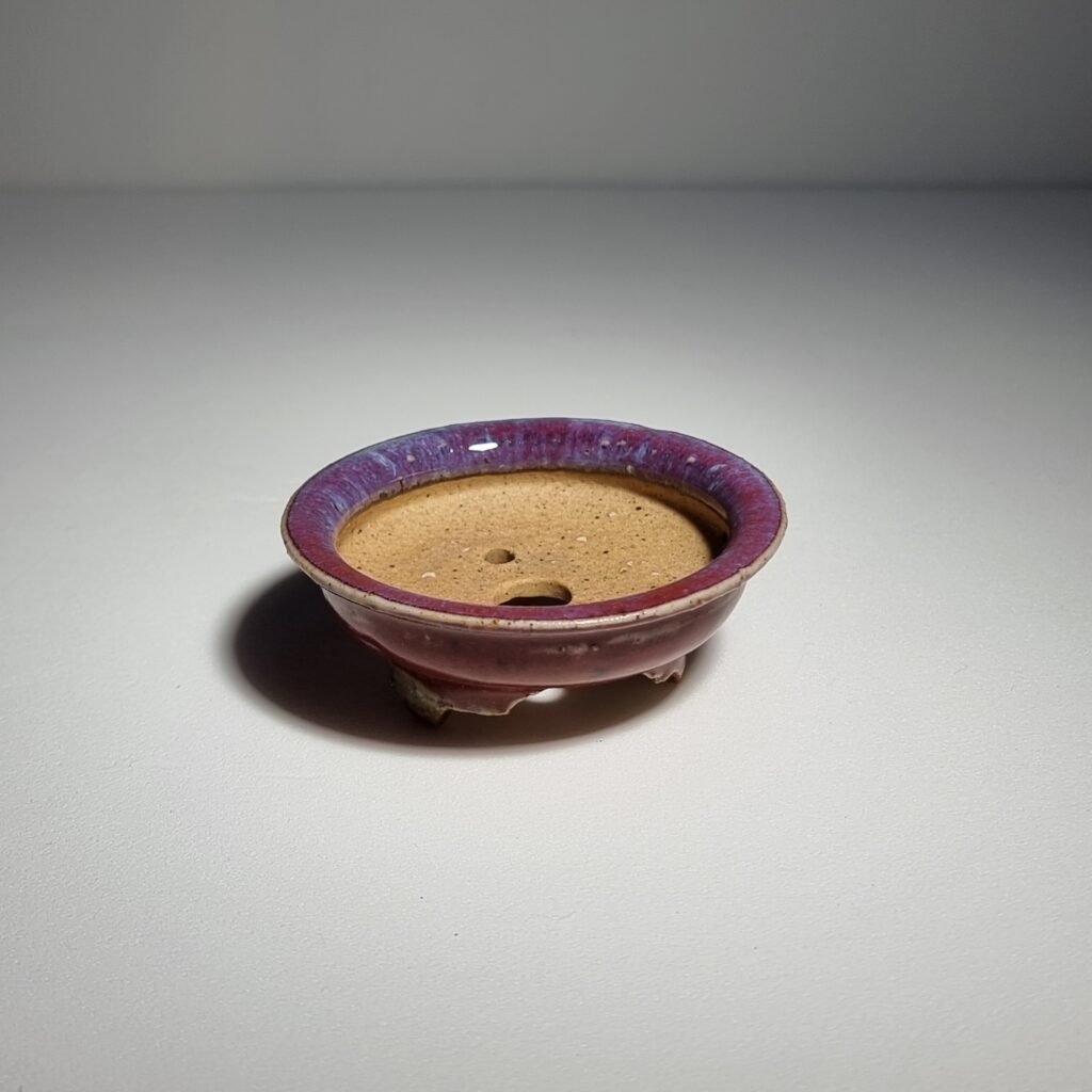 Mini Bonsai Pot - Random 3-Set