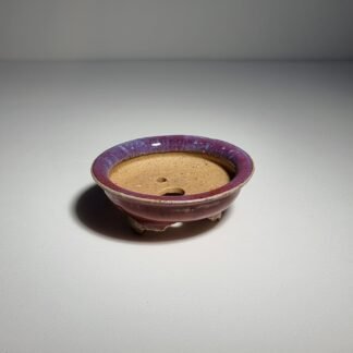 Mini Bonsai Pot - Random 3-Set
